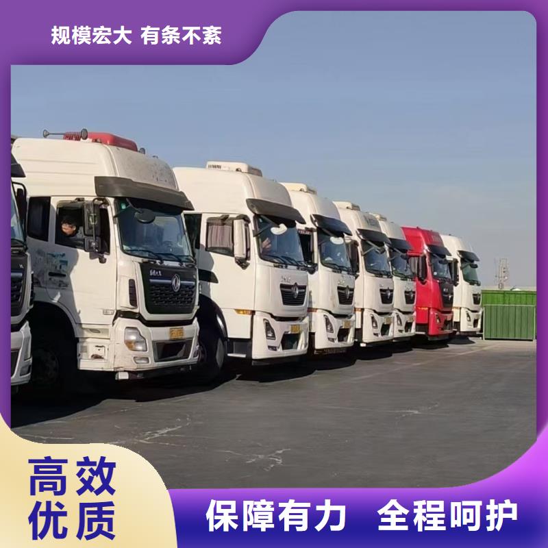 宿迁市沭阳到活禽运输创新进取