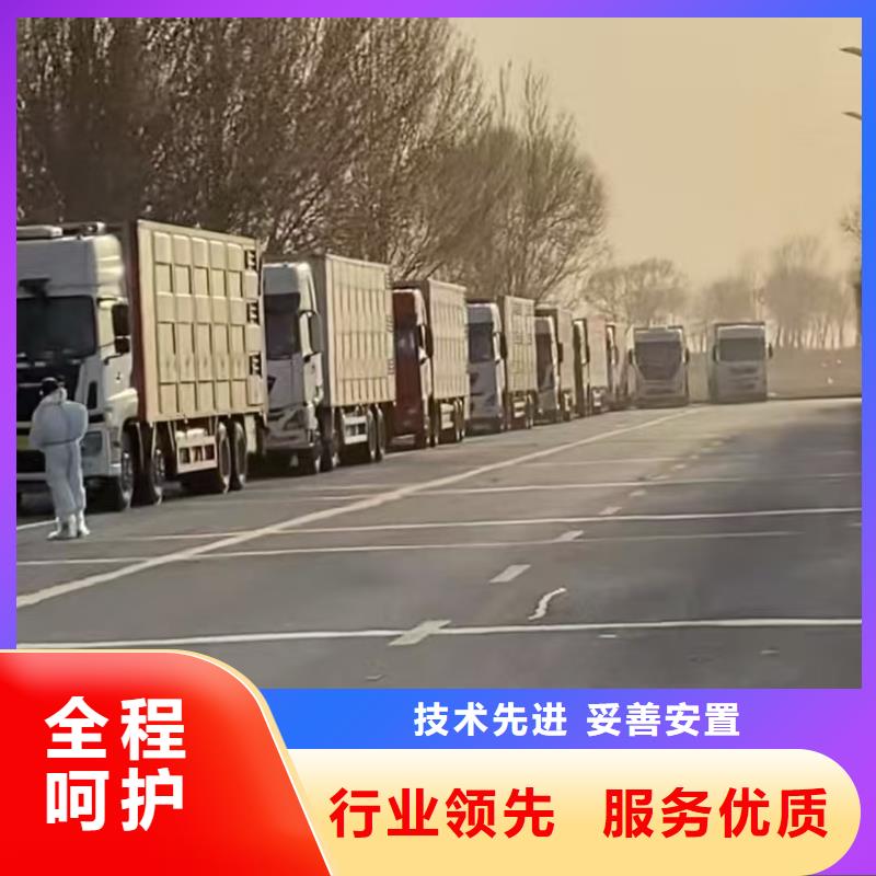 杭州到高栏车肥猪运输精心照料