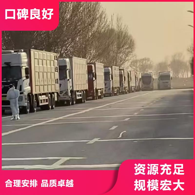 常州到畜禽运输优质