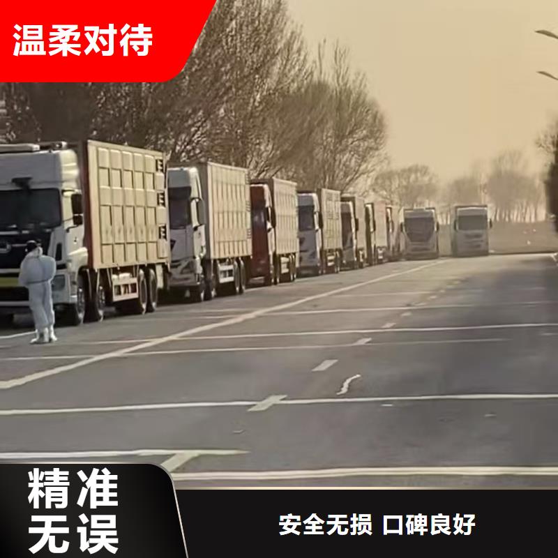 宿迁市泗阳到活禽物流自家车辆