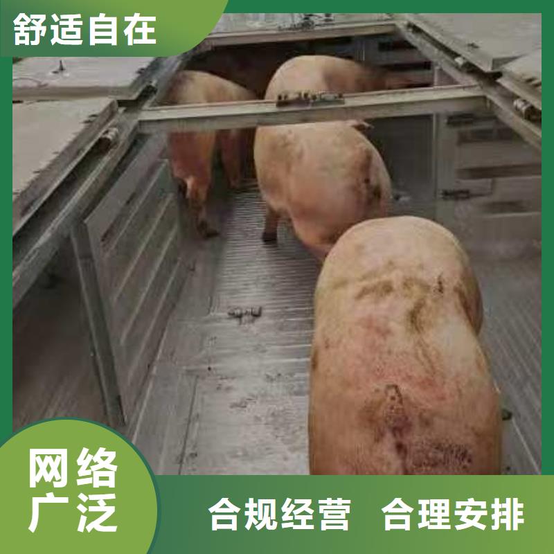 宿迁到活禽运输保障有力
