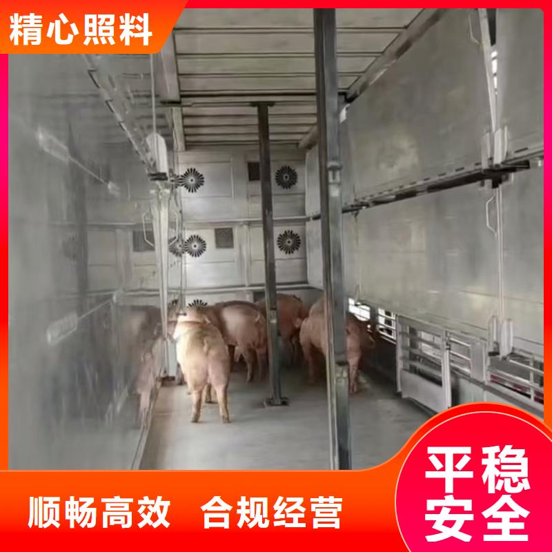 宿迁到高栏车肥猪运输正规