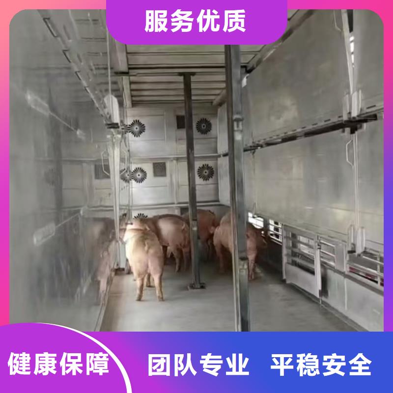宿迁到羊运输专用车运费透明