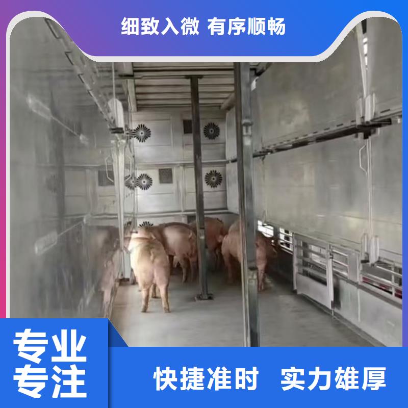 宿迁到散装料专用车实力雄厚