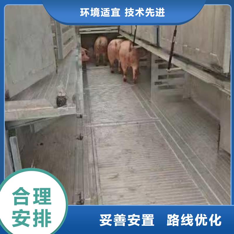 宿迁到仔猪空调车运输便利快捷