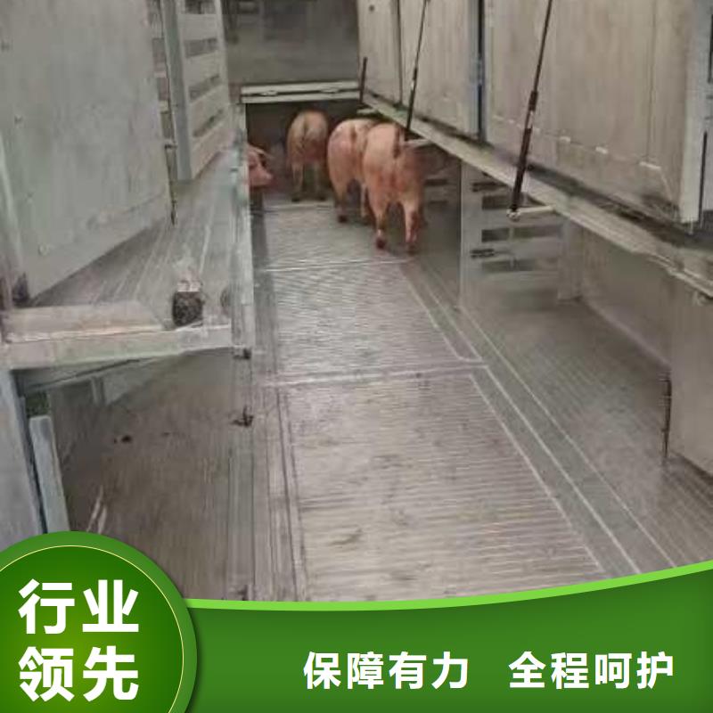 苏州到猪笼车物流运力强大