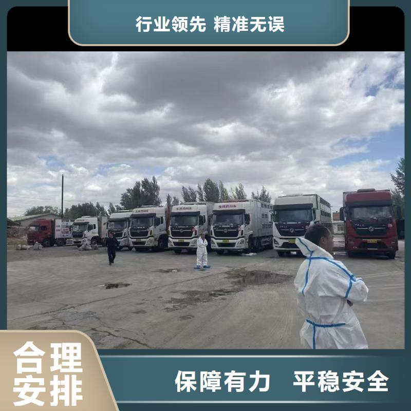 泰安到畜禽物流口碑良好