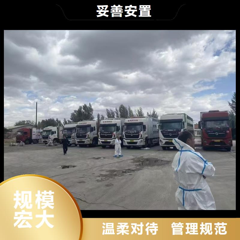 宿迁市沭阳到二育运输合理