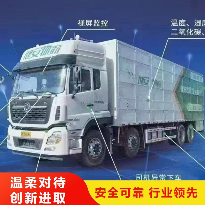 宿迁到散装料专用车实力雄厚