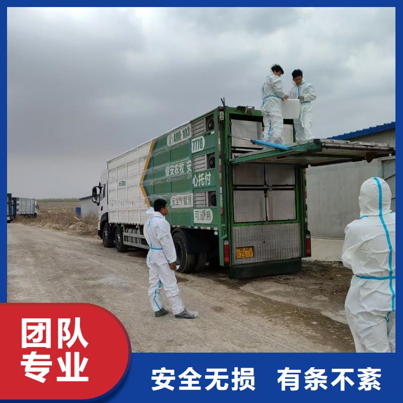宿迁到猪笼车物流网络广泛