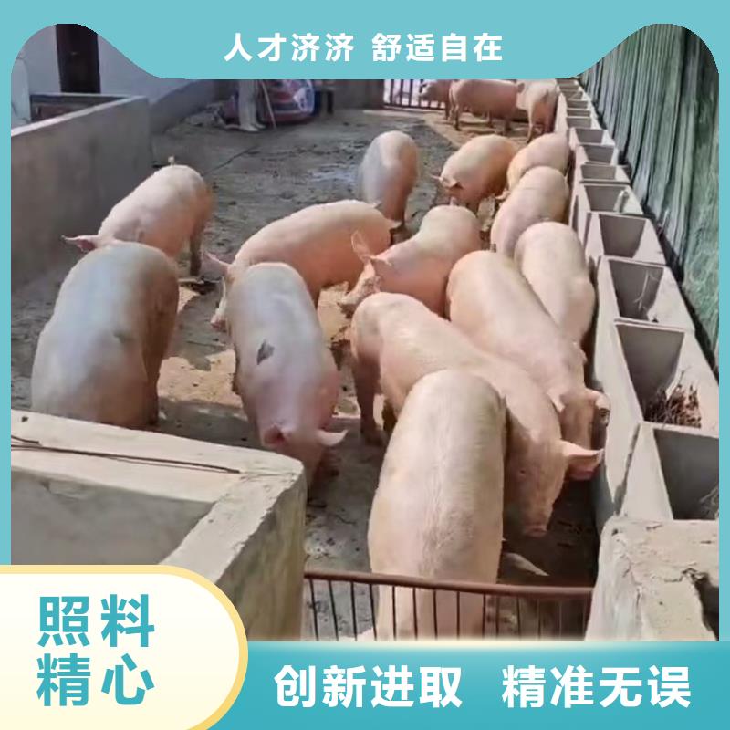滨州到恒温车运输资金充裕
