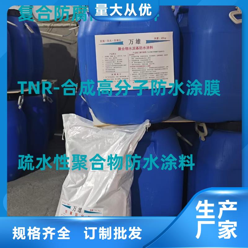 厚浆型乙烯基酯防腐防水涂料好品质经得住考验专业厂家PB-1型聚合物改性沥青防水涂料