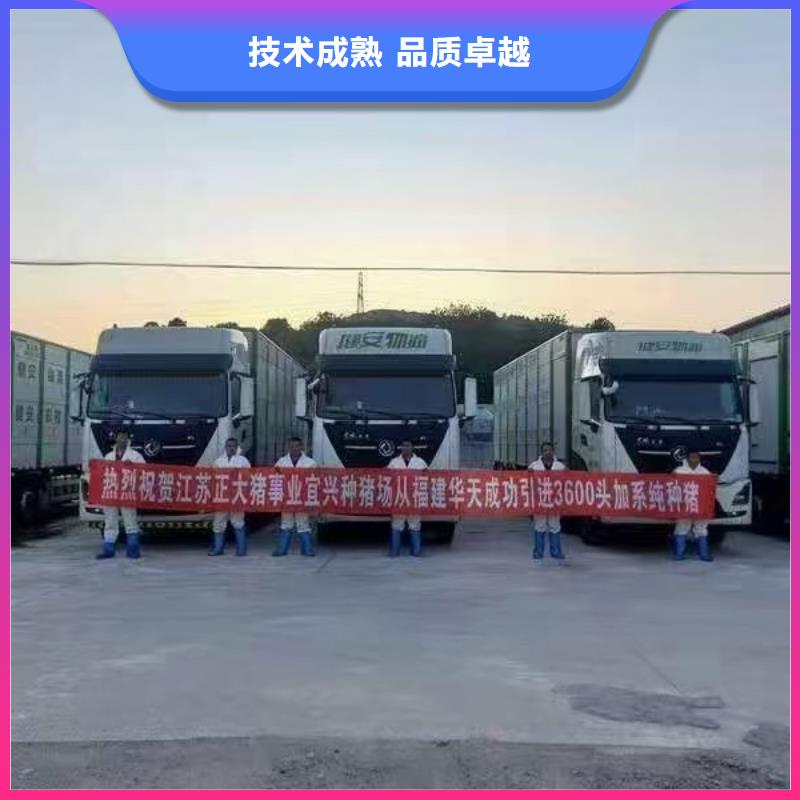 宿迁泗洪到生猪恒温车运输无忧