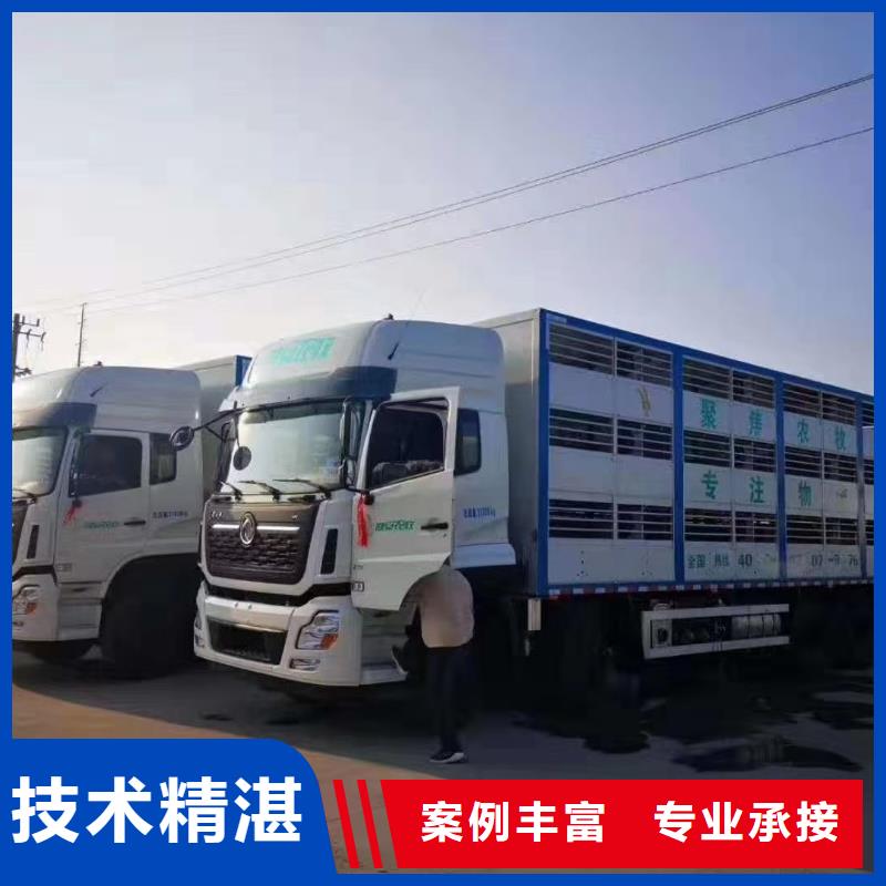 宿迁泗阳到畜禽物流体系完善