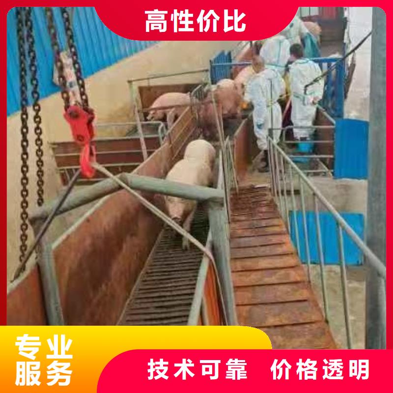 宿迁泗洪到原料运输信誉良好