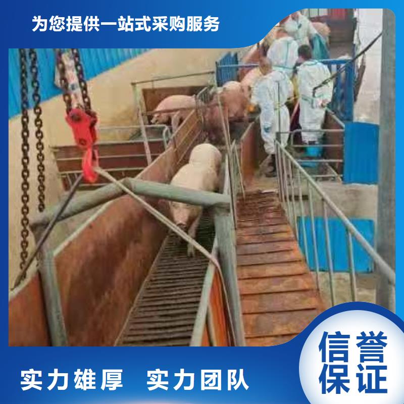 马鞍山到活禽运输恒温车正规公司