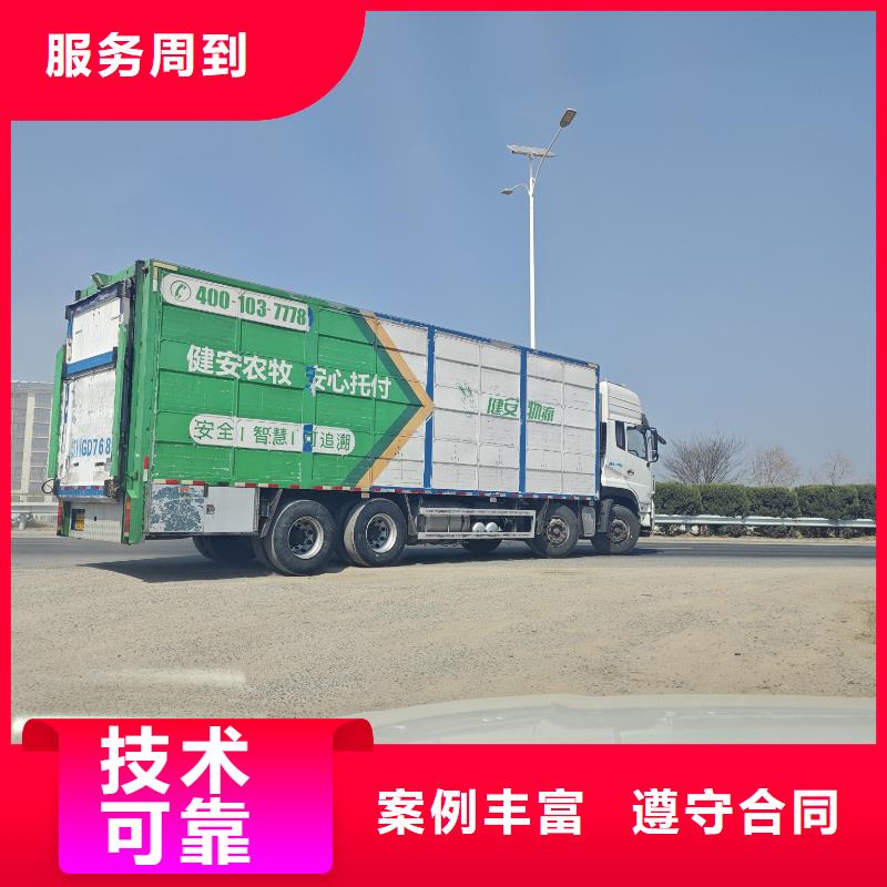 安庆至种猪恒温车运输团队专业