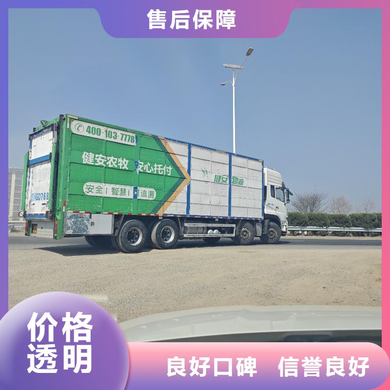 宿迁泗洪到牛运输团队专业