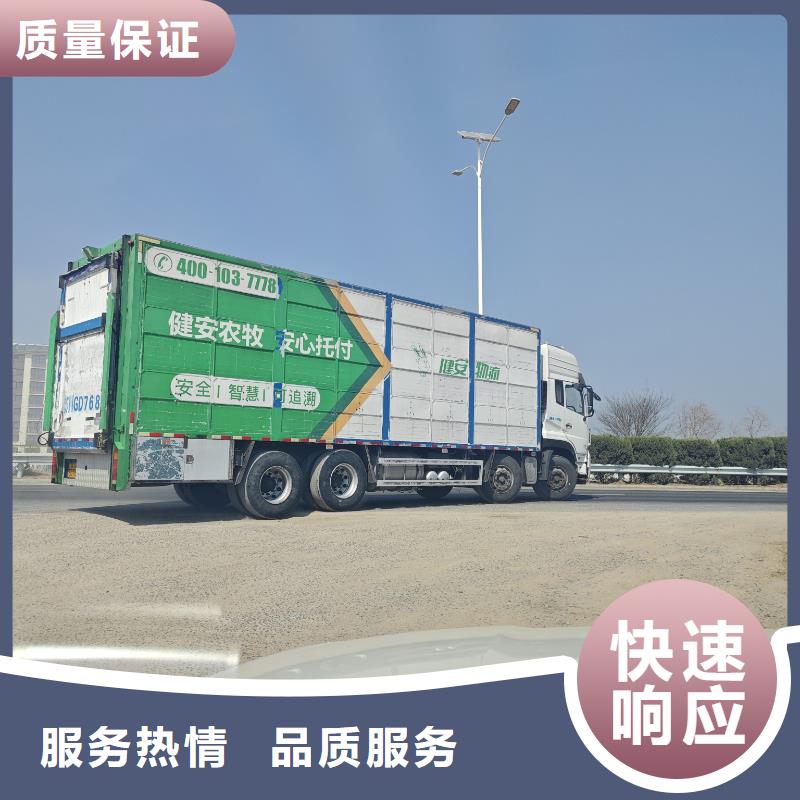 东海到猪牛羊运输恒温车技术成熟