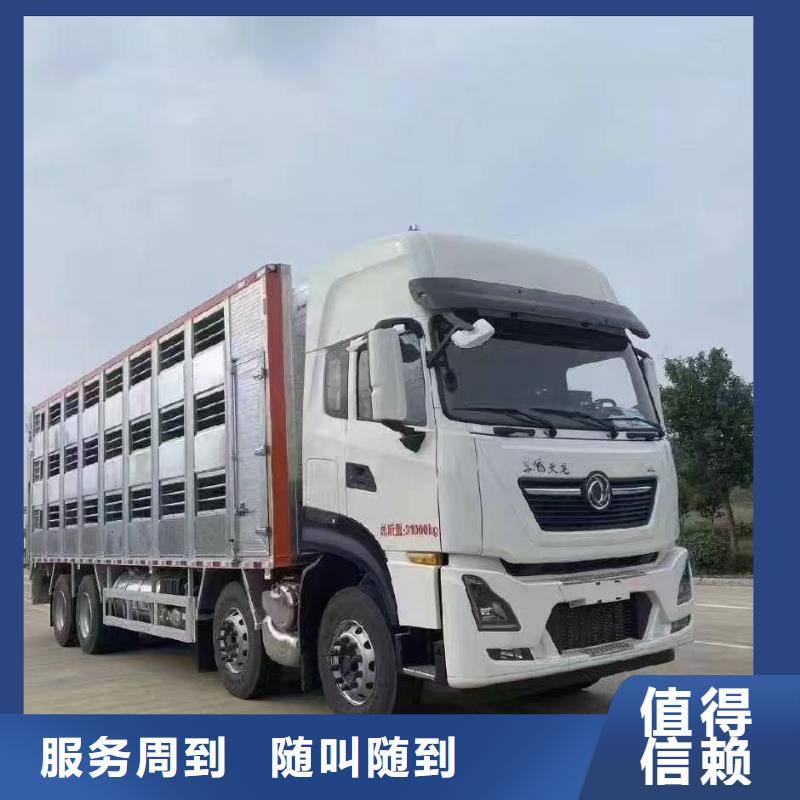 丽水到仔猪运输恒温车多年经验