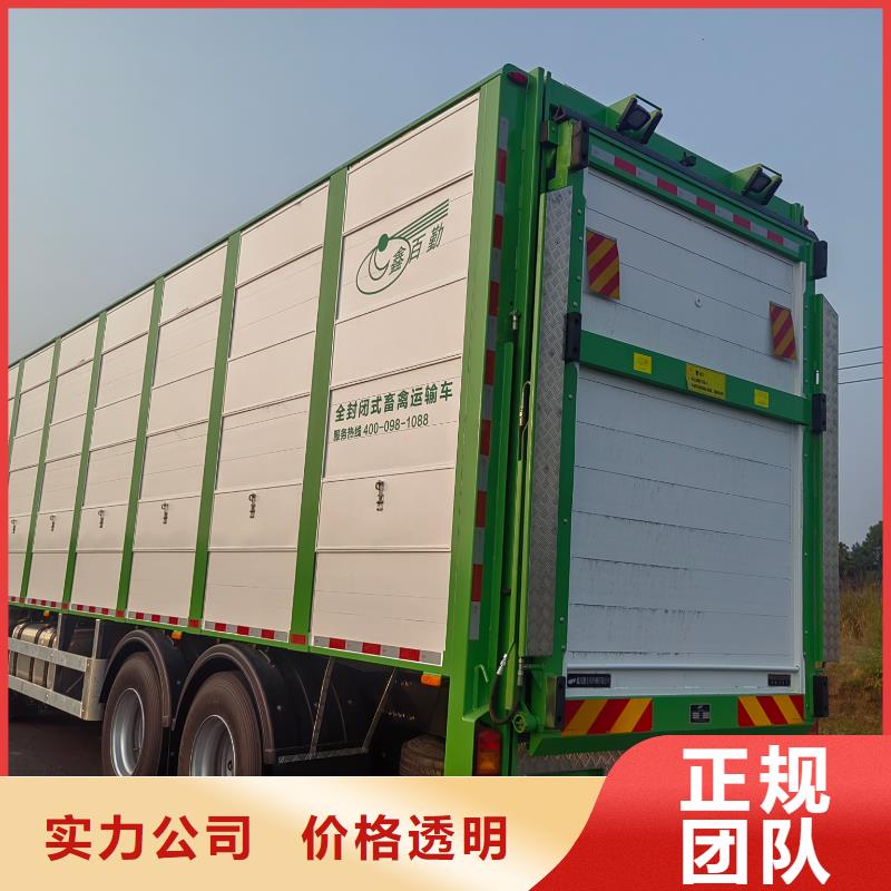 铜陵至活禽运输信誉卓著