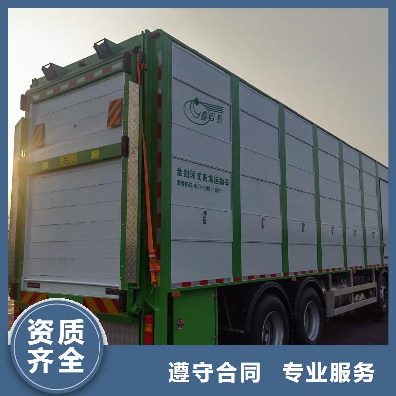 宿迁泗洪到原料运输信誉良好