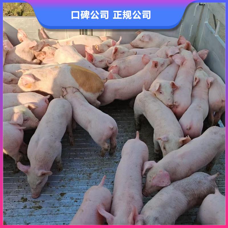 宿迁到二育运输空调车精准无误