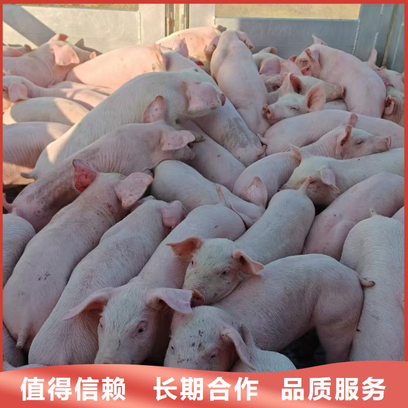 宿迁到二育运输空调车精准无误