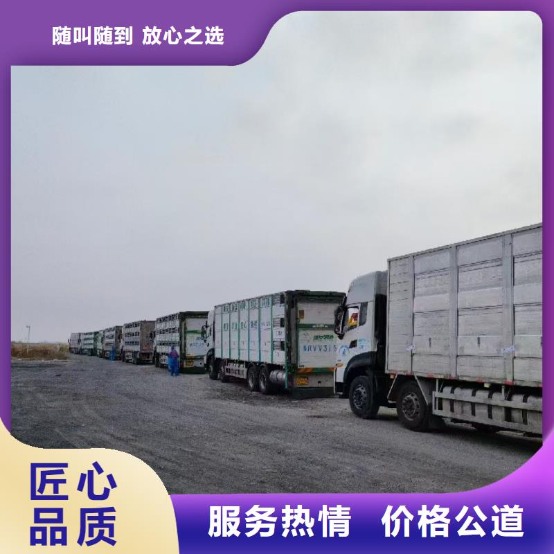 潍坊到仔猪运输恒温车匠心品质