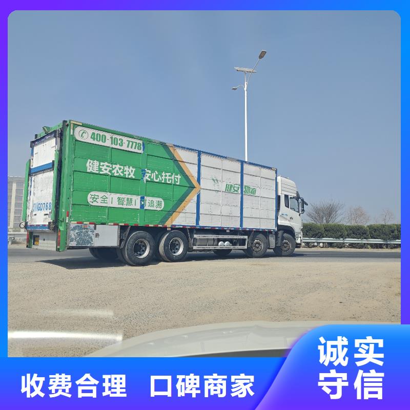 泗阳县至活禽运输空调车口碑商家
