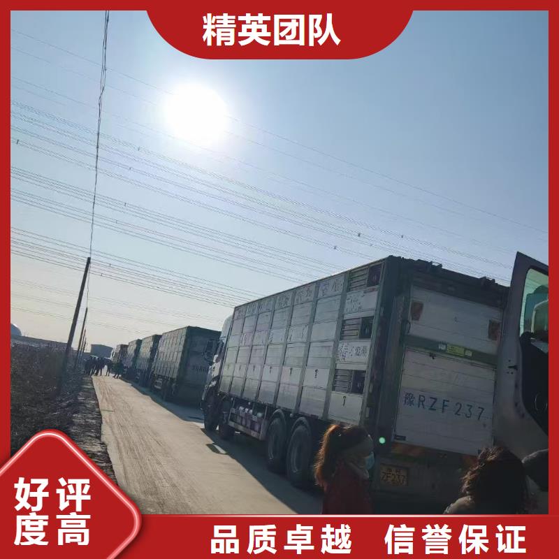 滁州至种猪运输放心省心
