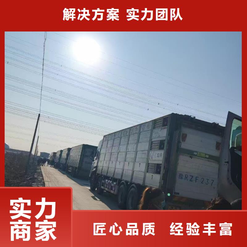 绍兴至肥猪运输恒温车实力团队