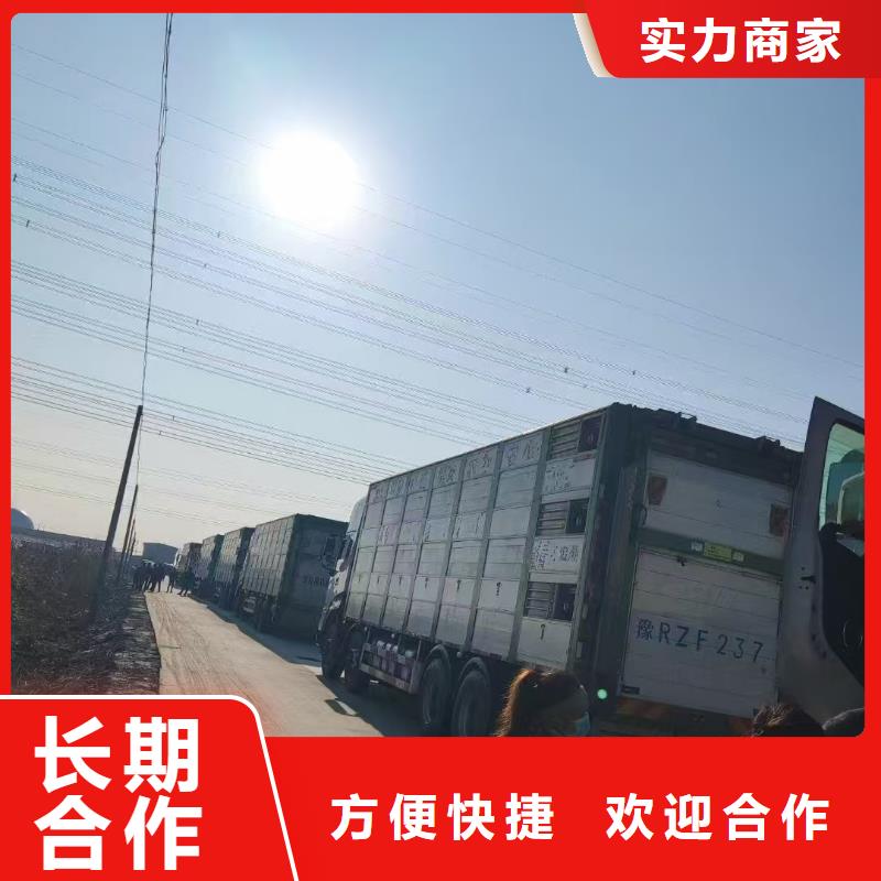 滁州到畜禽物流无损