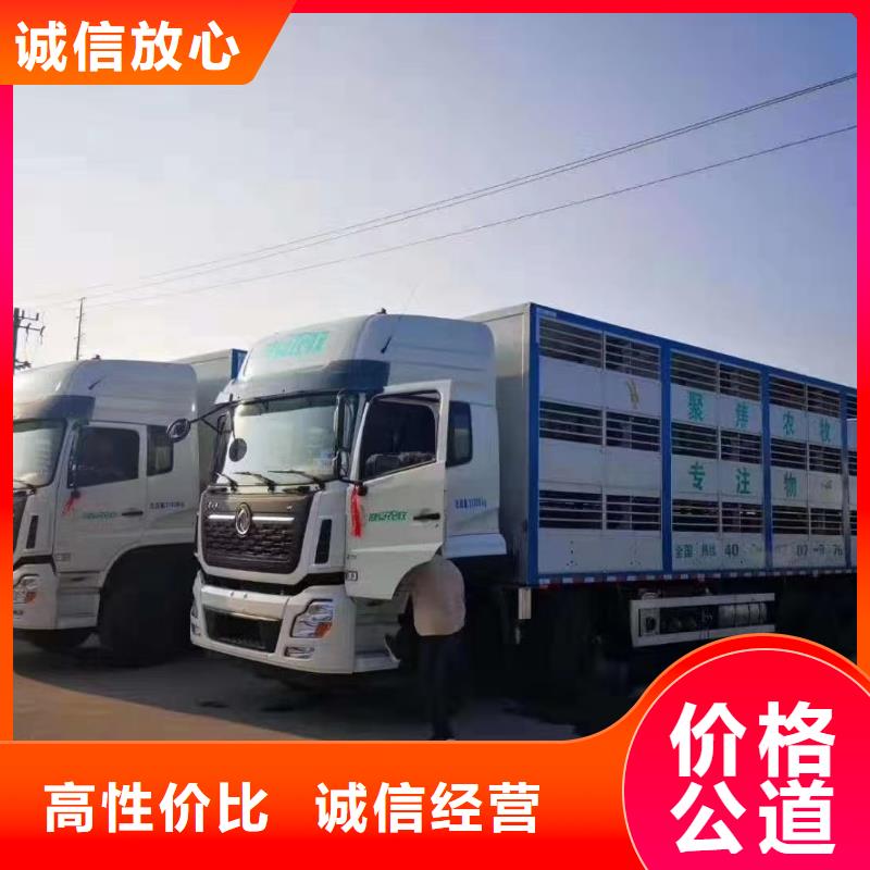 淮南至畜禽运输应急