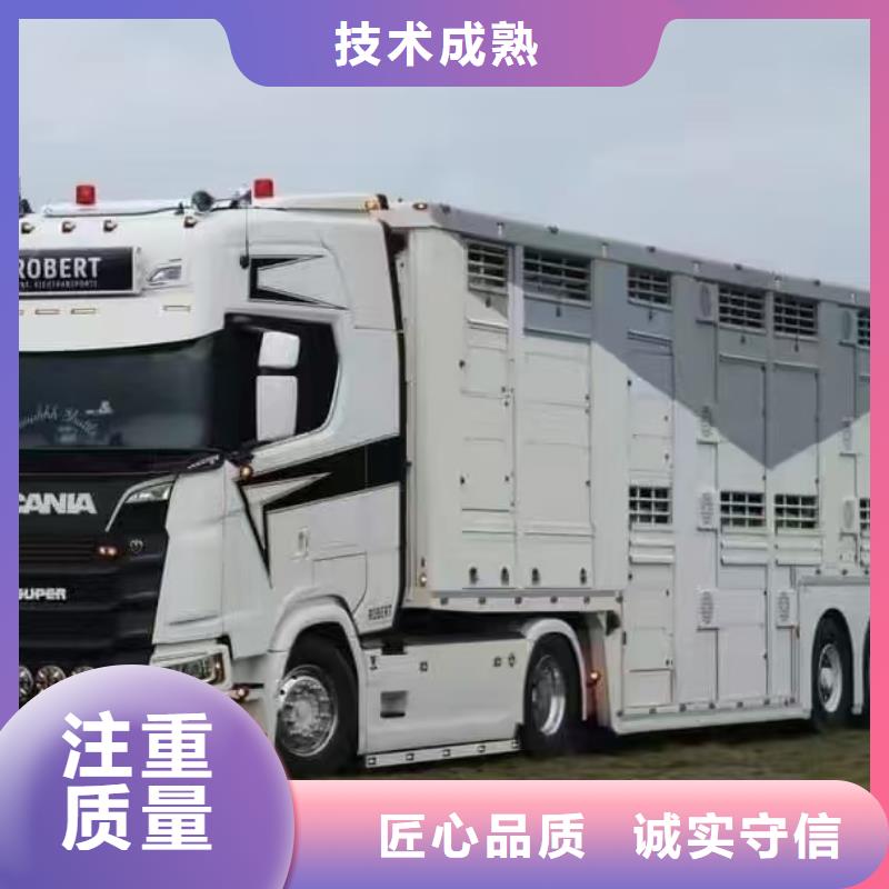 滁州至种猪运输放心省心