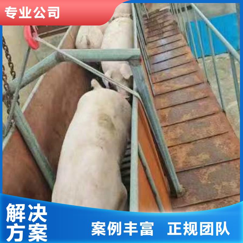 姜堰到二育运输恒温车值得信赖