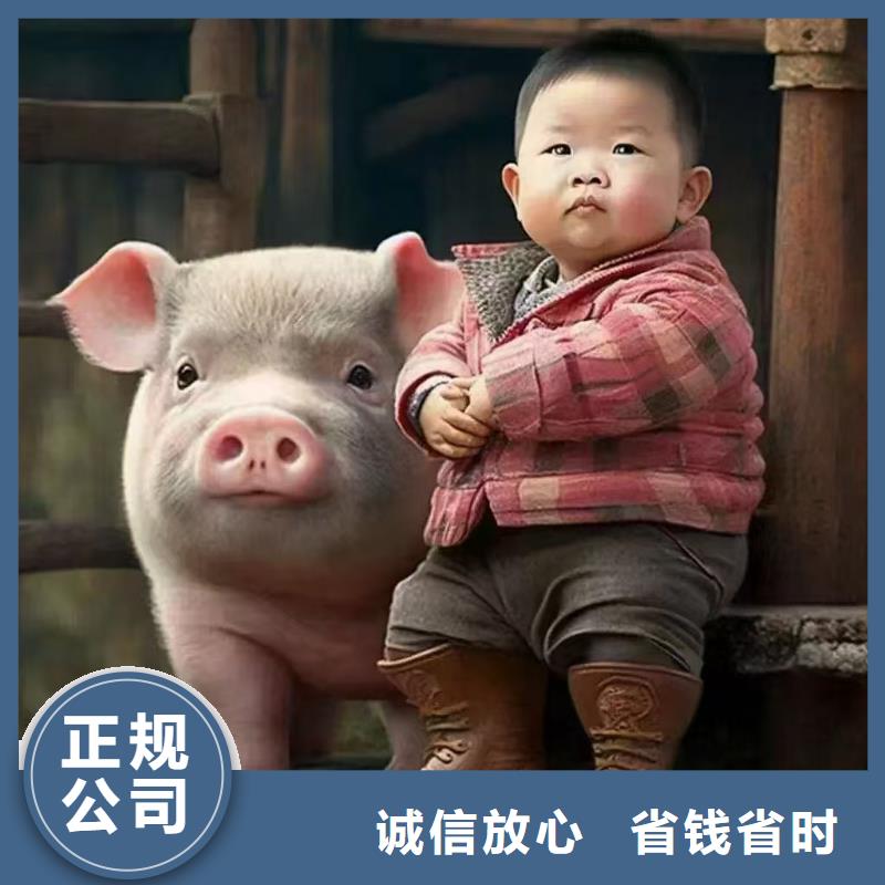 淮南至畜禽运输应急