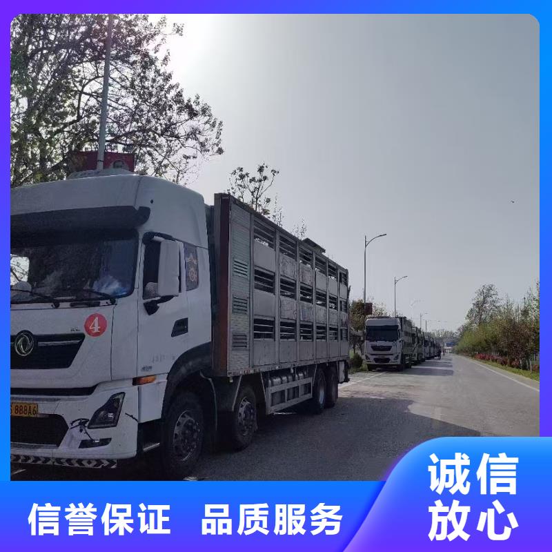 泰州到生猪空调车运输无忧