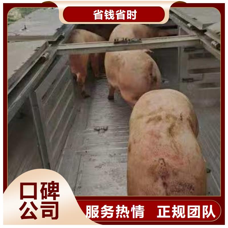 宿迁到猪牛羊运输空调车稳妥可靠