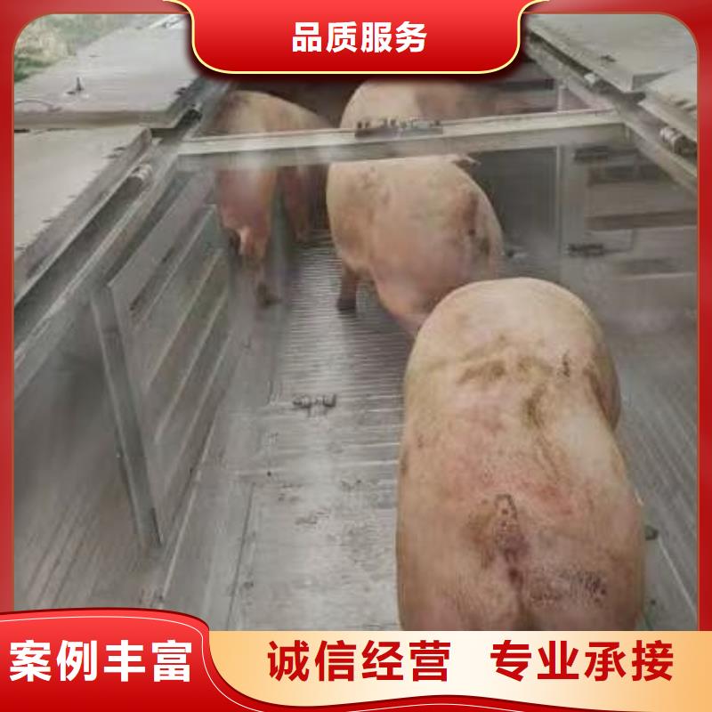 马鞍山到活禽运输恒温车正规公司