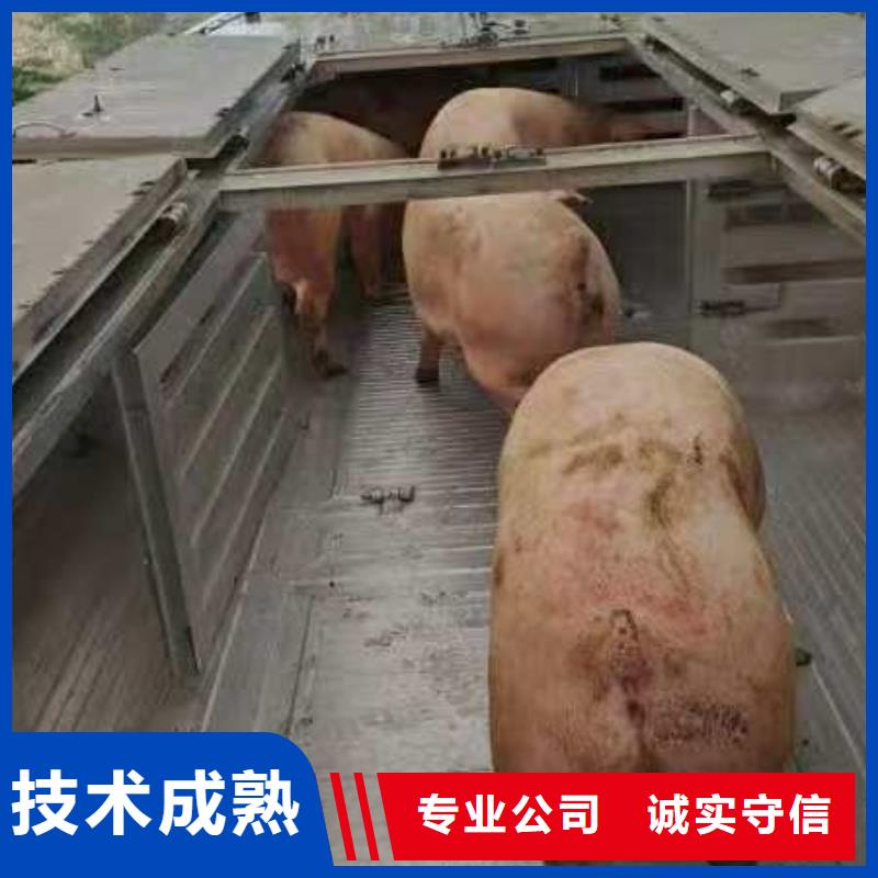 平顶山至原料运输经验丰富