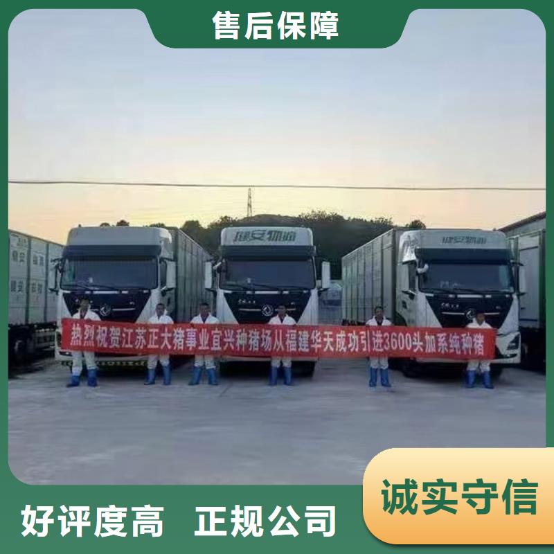宿迁泗阳到活禽运输自家车辆