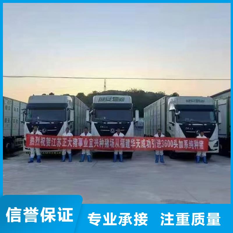 滁州至猪牛羊运输空调车良好口碑