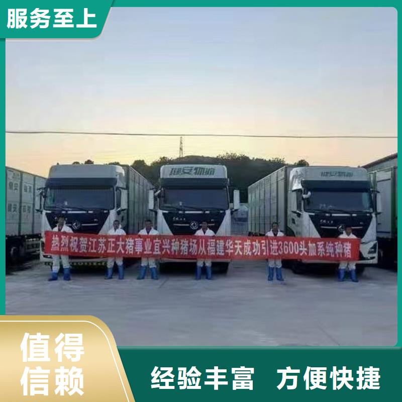 丽水到仔猪运输恒温车多年经验