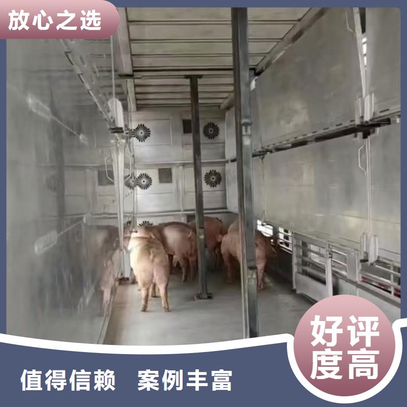 泰州到生猪空调车运输无忧