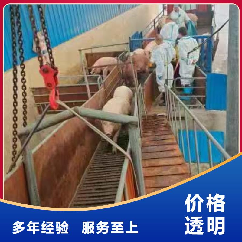 平顶山至原料运输经验丰富