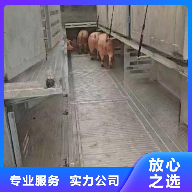 宿迁沭阳到高栏车肥猪运输贴心服务