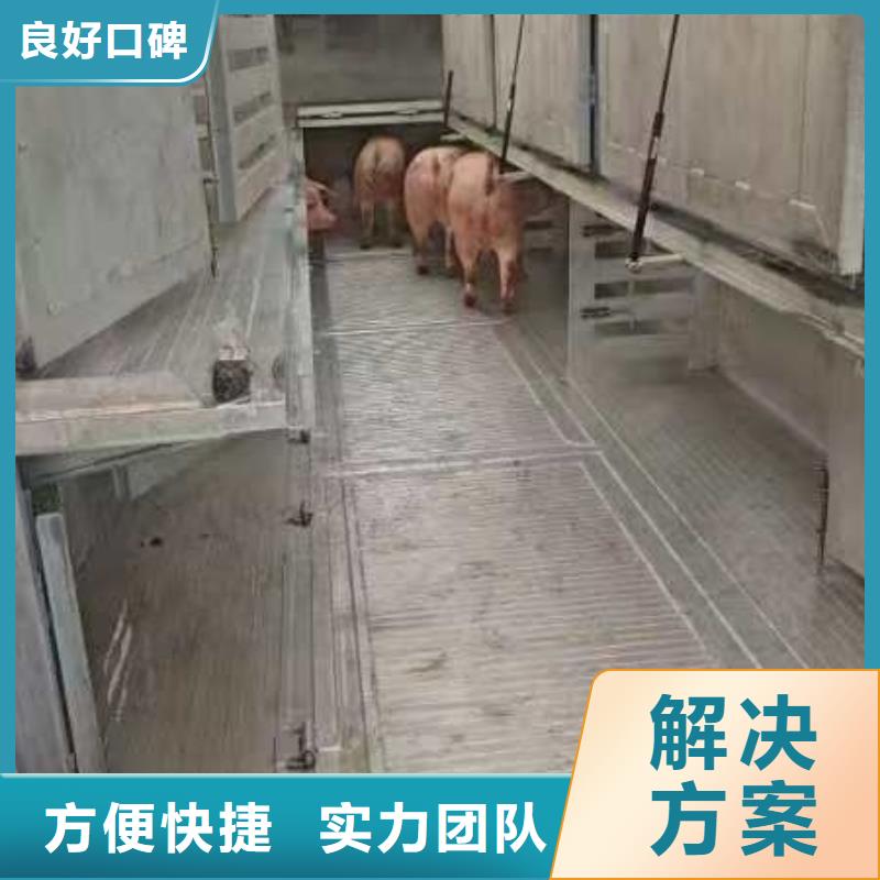 滁州至种猪运输放心省心