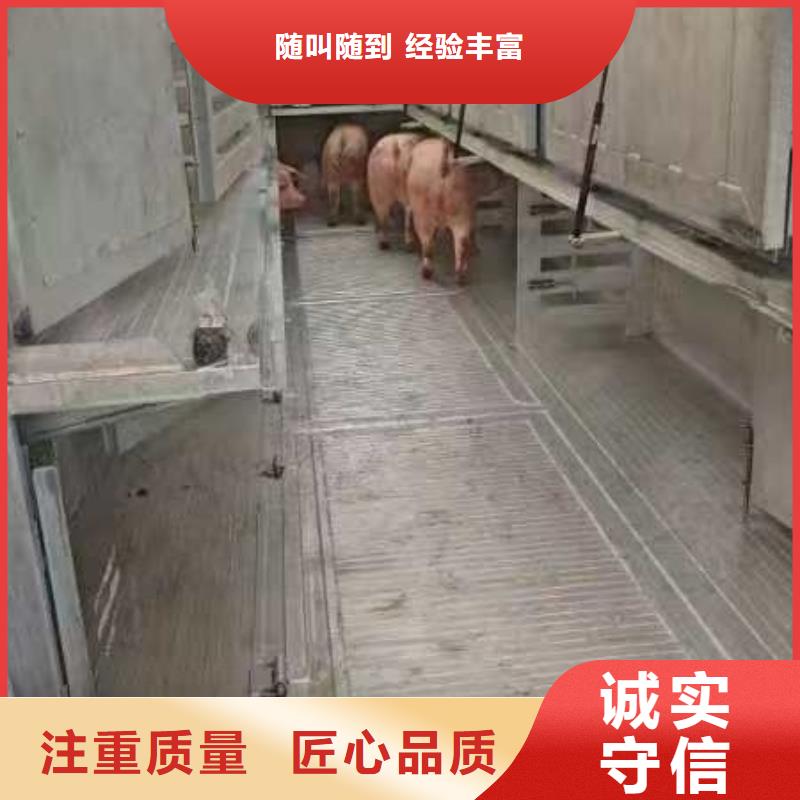 平顶山至原料运输经验丰富