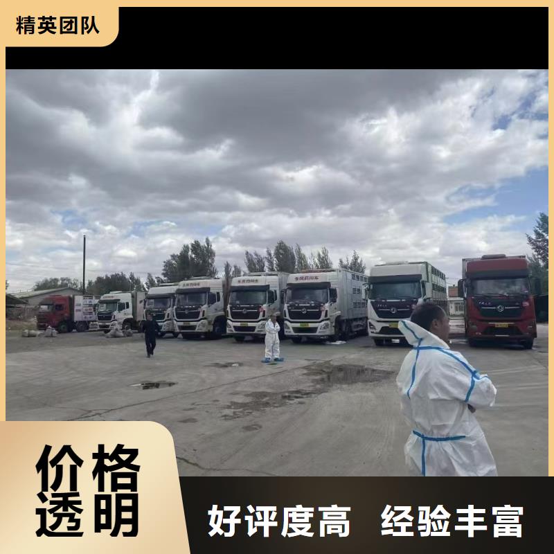 句容到猪牛羊运输空调车服务至上